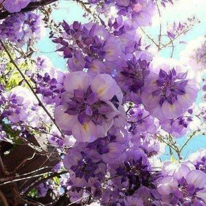 Meet your Posher, Sonja